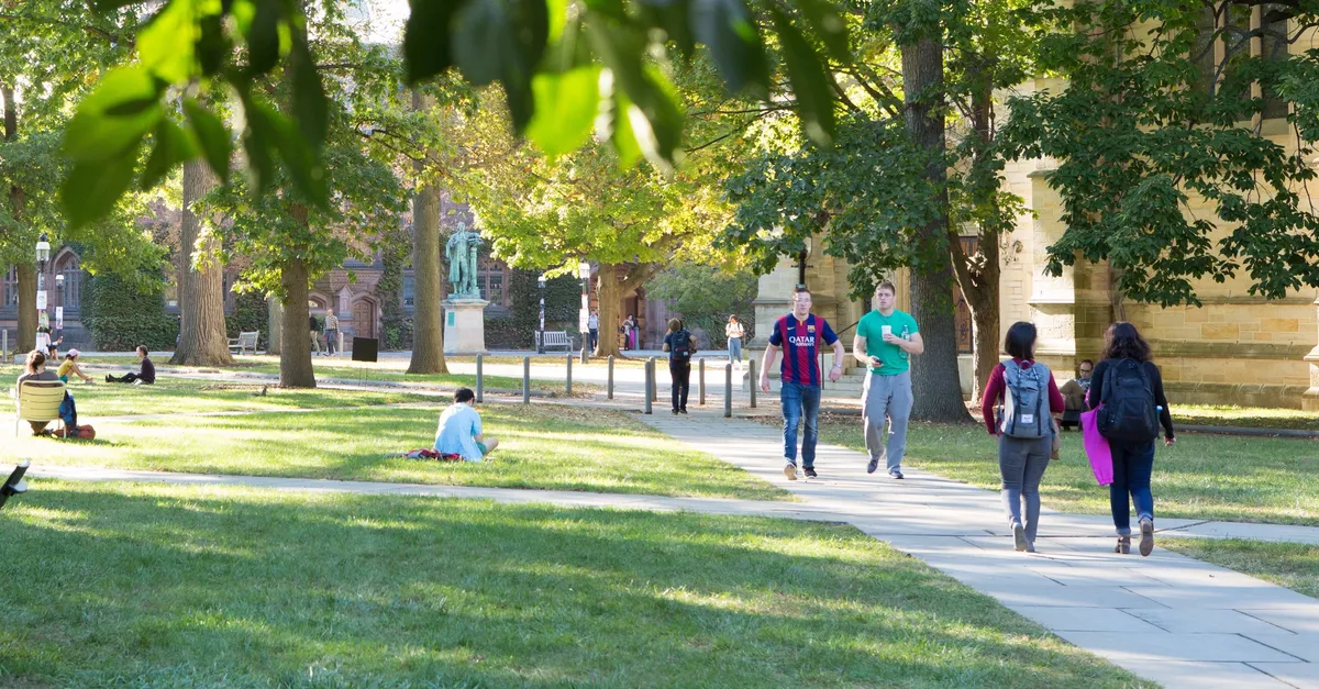 Check Out Our Curated Fall 2024 Course List (Undergrad Edition)! CDH