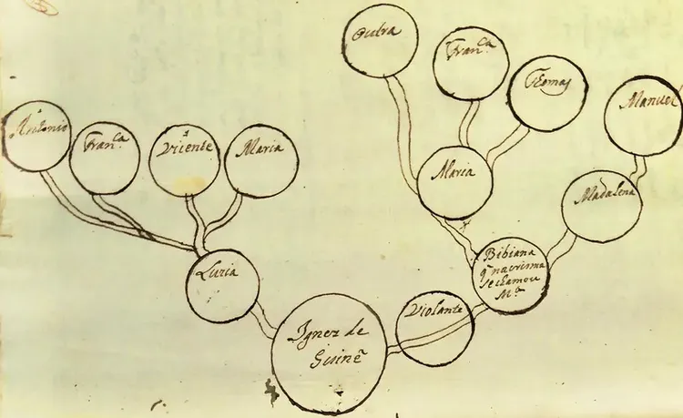 family tree