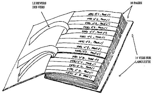 diagram showing the physical structure of Queneau's volume